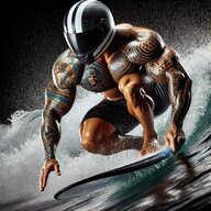 trent.bolone