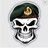 Stryker